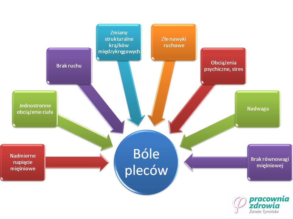 bole plecy